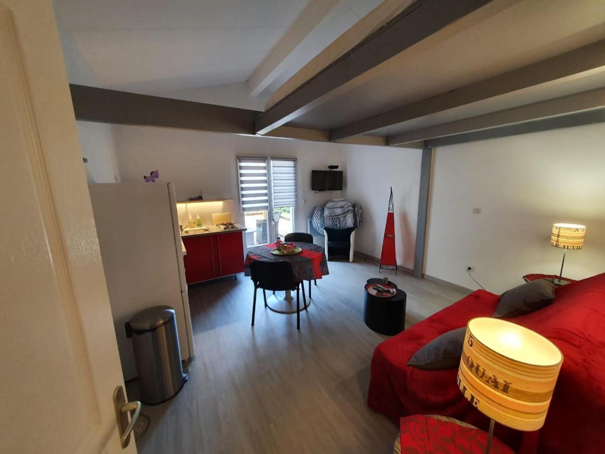 Dormir A Montauban Logements Carreyrat Calme Et Verdoyant Екстериор снимка
