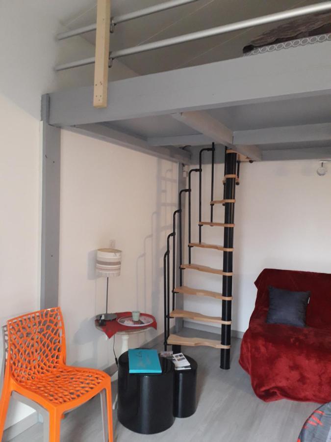 Dormir A Montauban Logements Carreyrat Calme Et Verdoyant Екстериор снимка