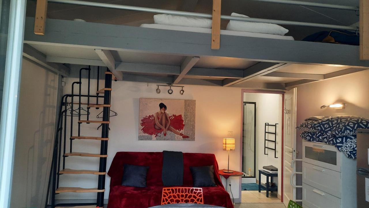 Dormir A Montauban Logements Carreyrat Calme Et Verdoyant Екстериор снимка