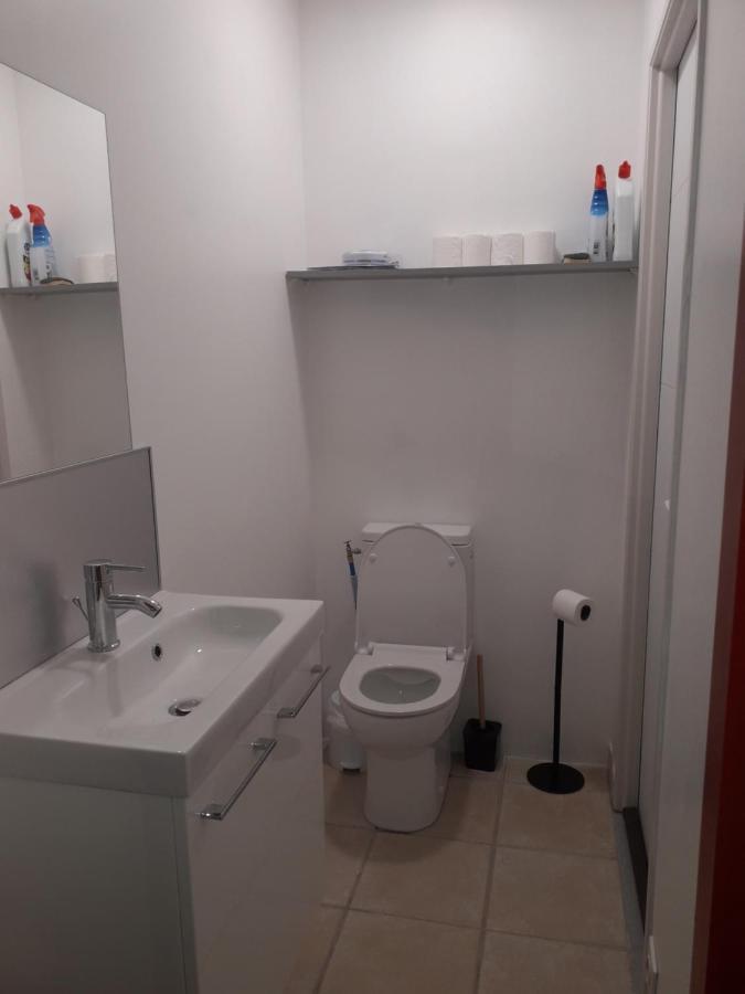 Dormir A Montauban Logements Carreyrat Calme Et Verdoyant Екстериор снимка